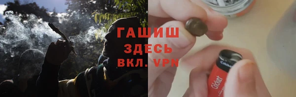 твердый Туринск